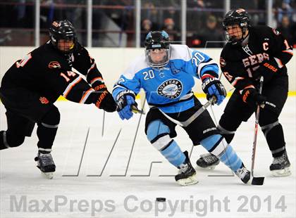 Thumbnail 3 in White Plains @ Suffern photogallery.
