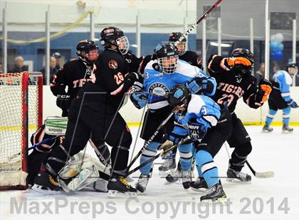 Thumbnail 1 in White Plains @ Suffern photogallery.
