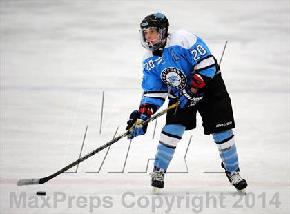 Thumbnail 2 in White Plains @ Suffern photogallery.