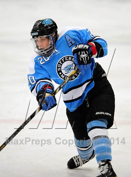 Thumbnail 3 in White Plains @ Suffern photogallery.
