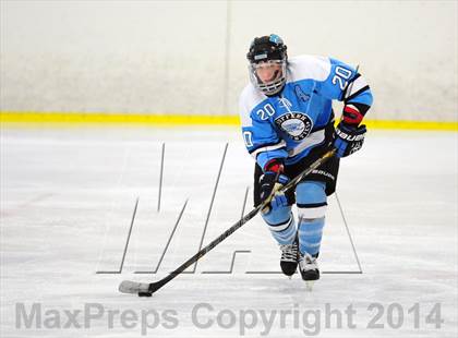 Thumbnail 1 in White Plains @ Suffern photogallery.