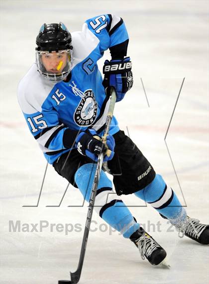 Thumbnail 3 in White Plains @ Suffern photogallery.