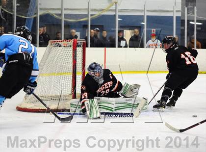 Thumbnail 3 in White Plains @ Suffern photogallery.