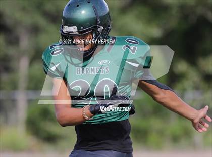 Thumbnail 1 in Hernando @ Weeki Wachee photogallery.
