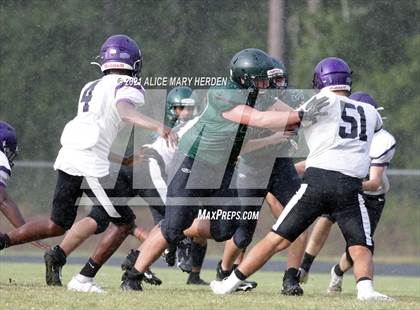 Thumbnail 1 in Hernando @ Weeki Wachee photogallery.