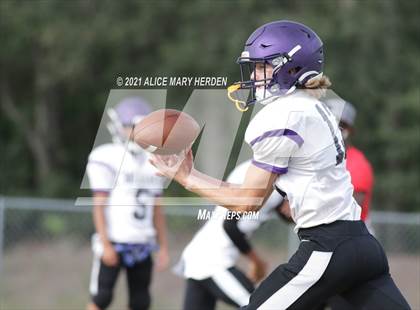 Thumbnail 3 in Hernando @ Weeki Wachee photogallery.