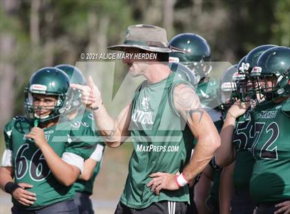 Thumbnail 2 in Hernando @ Weeki Wachee photogallery.