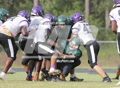Thumbnail 1 in Hernando @ Weeki Wachee photogallery.