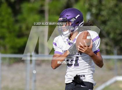 Thumbnail 1 in Hernando @ Weeki Wachee photogallery.