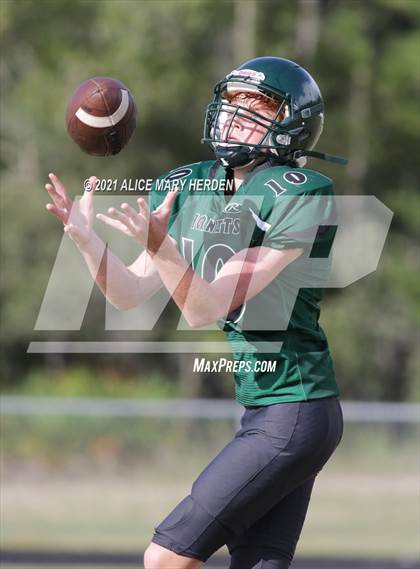 Thumbnail 3 in Hernando @ Weeki Wachee photogallery.
