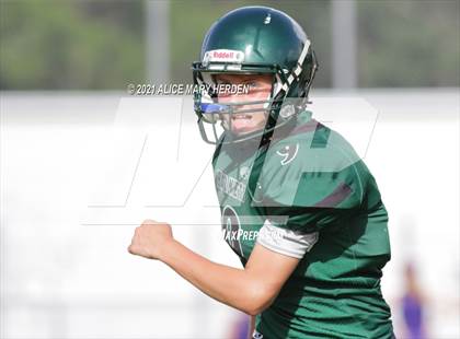 Thumbnail 3 in Hernando @ Weeki Wachee photogallery.