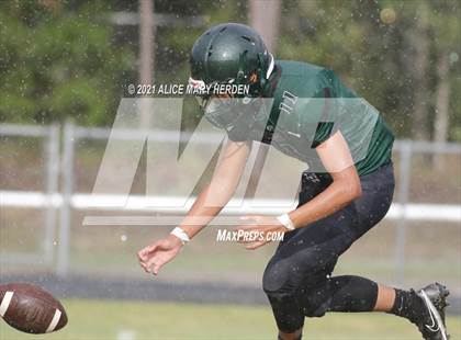 Thumbnail 2 in Hernando @ Weeki Wachee photogallery.