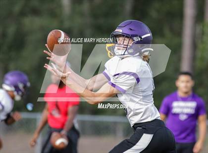 Thumbnail 2 in Hernando @ Weeki Wachee photogallery.