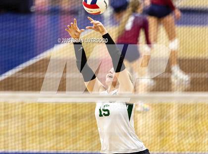 Thumbnail 3 in Stratton vs. Plateau Valley (CHSAA 1A Round 1) photogallery.