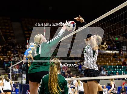 Thumbnail 3 in Stratton vs. Plateau Valley (CHSAA 1A Round 1) photogallery.