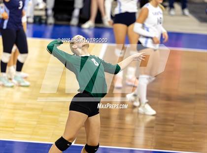 Thumbnail 3 in Stratton vs. Plateau Valley (CHSAA 1A Round 1) photogallery.