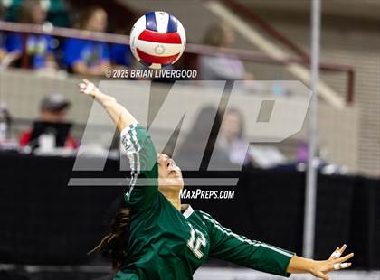 Thumbnail 2 in Stratton vs. Plateau Valley (CHSAA 1A Round 1) photogallery.