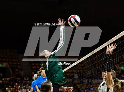 Thumbnail 1 in Stratton vs. Plateau Valley (CHSAA 1A Round 1) photogallery.