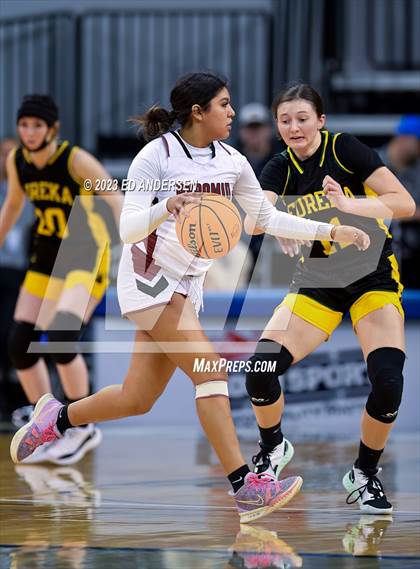 Thumbnail 3 in Pyramid Lake vs. Eureka (NIAA 1A State Championship) photogallery.