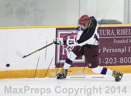 Thumbnail 2 in Watertown/Pomperaug @ Brookfield/Bethel/Danbury photogallery.