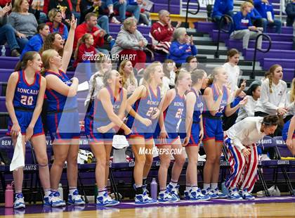 Thumbnail 2 in Roncalli @ Ben Davis photogallery.