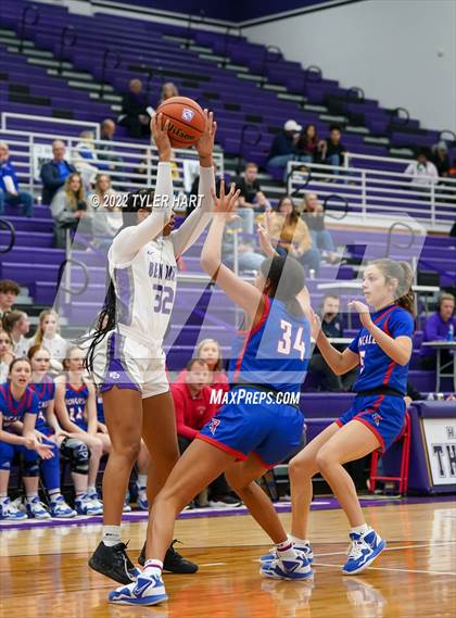 Thumbnail 3 in Roncalli @ Ben Davis photogallery.