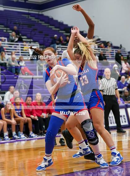 Thumbnail 1 in Roncalli @ Ben Davis photogallery.