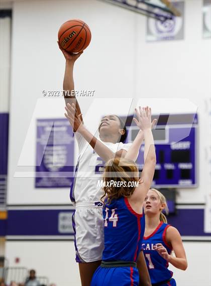 Thumbnail 2 in Roncalli @ Ben Davis photogallery.