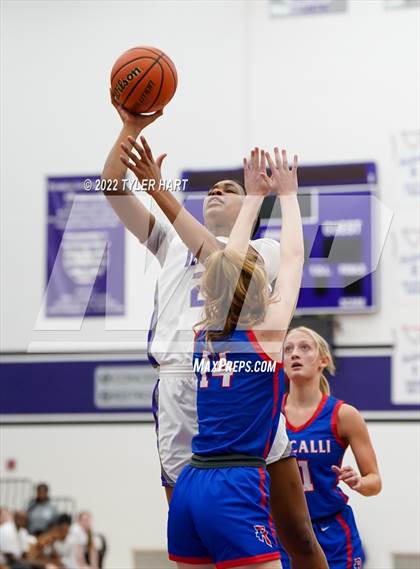 Thumbnail 1 in Roncalli @ Ben Davis photogallery.