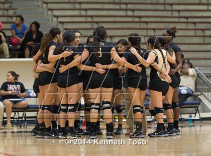 Thumbnail 1 in Edison @ Brackenridge photogallery.