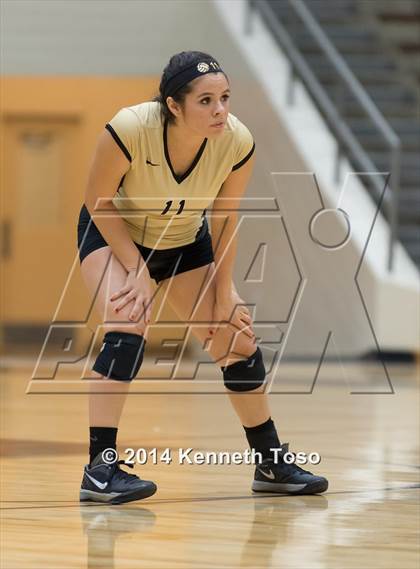 Thumbnail 2 in Edison @ Brackenridge photogallery.