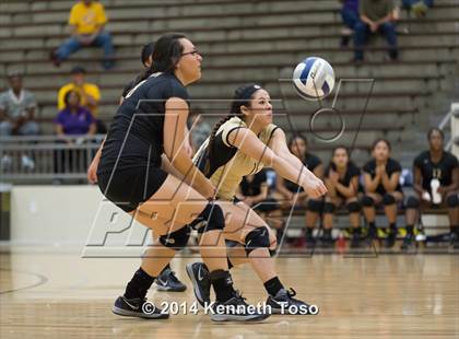 Thumbnail 1 in Edison @ Brackenridge photogallery.