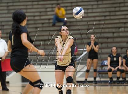 Thumbnail 1 in Edison @ Brackenridge photogallery.