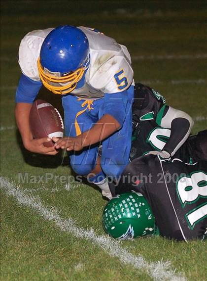 Thumbnail 1 in Del Campo @ El Camino photogallery.