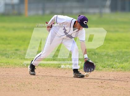 Thumbnail 3 in St. Bernard vs Cathedral photogallery.