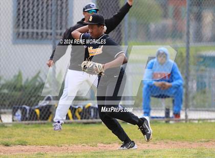 Thumbnail 1 in St. Bernard vs Cathedral photogallery.