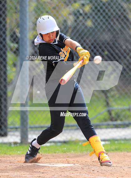 Thumbnail 3 in St. Bernard vs Cathedral photogallery.
