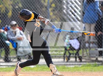 Thumbnail 3 in St. Bernard vs Cathedral photogallery.