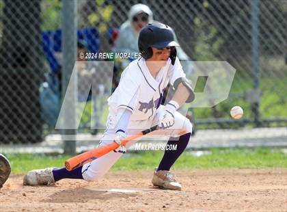 Thumbnail 3 in St. Bernard vs Cathedral photogallery.