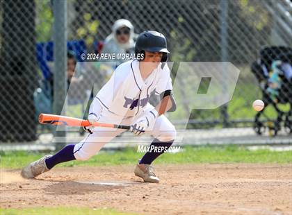 Thumbnail 1 in St. Bernard vs Cathedral photogallery.