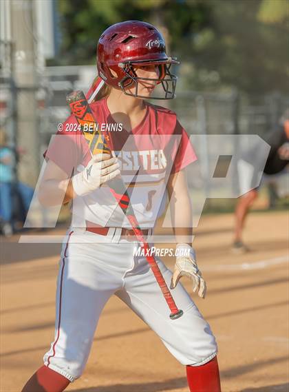 Thumbnail 2 in Lassiter vs. Houston County (GHSA 5A State Tournament) photogallery.