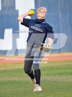 Photo from the gallery "Cactus Shadows @ Willow Canyon "