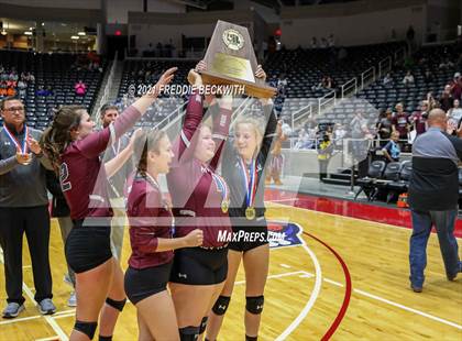 Thumbnail 1 in Blum vs. Fayetteville (UIL Volleyball 1A Finals) photogallery.