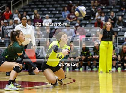 Thumbnail 1 in Blum vs. Fayetteville (UIL Volleyball 1A Finals) photogallery.