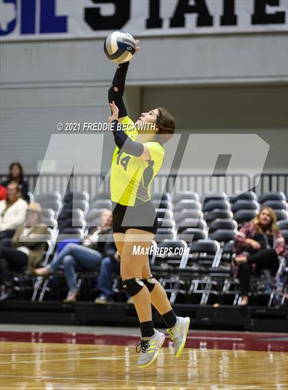 Thumbnail 1 in Blum vs. Fayetteville (UIL Volleyball 1A Finals) photogallery.