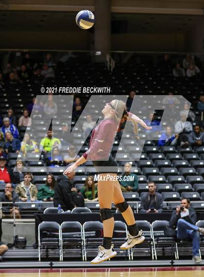 Thumbnail 3 in Blum vs. Fayetteville (UIL Volleyball 1A Finals) photogallery.