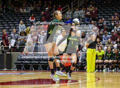 Thumbnail 2 in Blum vs. Fayetteville (UIL Volleyball 1A Finals) photogallery.