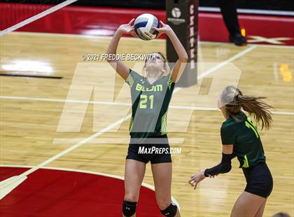Thumbnail 1 in Blum vs. Fayetteville (UIL Volleyball 1A Finals) photogallery.