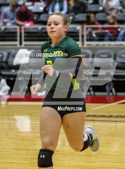 Thumbnail 1 in Blum vs. Fayetteville (UIL Volleyball 1A Finals) photogallery.