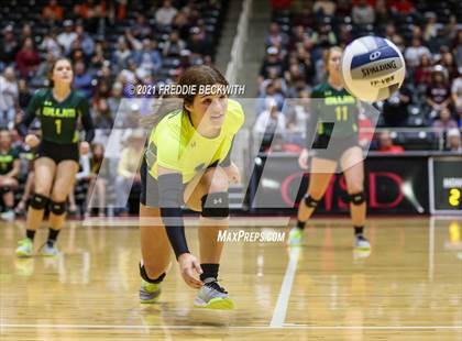 Thumbnail 2 in Blum vs. Fayetteville (UIL Volleyball 1A Finals) photogallery.